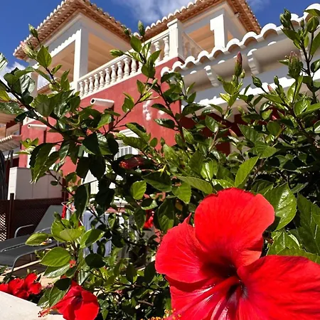 Casa Amis